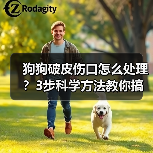 狗狗破皮伤口怎么处理？3步科学方法教你搞定！（图1）