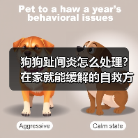 狗狗趾间炎怎么处理?在家就能缓解的自救方法(图3) 狗狗趾间炎怎么处理?在家就能缓解的自救方法(图3)