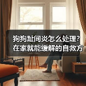 狗狗趾间炎怎么处理?在家就能缓解的自救方法(图4) 狗狗趾间炎怎么处理?在家就能缓解的自救方法(图4)