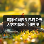 狗狗频繁摇头甩耳朵五大病因解析,别忽视!(图4) 狗狗频繁摇头甩耳朵五大病因解析,别忽视!(图4)