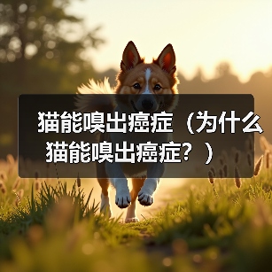 猫能嗅出癌症（为什么猫能嗅出癌症？）