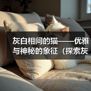 灰白相间的猫——优雅与神秘的象征（探索灰白猫的独特之美）