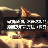母猫配种后不爱吃饭的原因及解决方法（探究母猫配种后食欲减退的可能原因，并提供有效的解决方案）（图1）