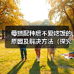 母猫配种后不爱吃饭的原因及解决方法（探究母猫配种后食欲减退的可能原因，并提供有效的解决方案）（图3）
