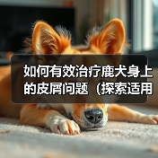 如何有效治疗鹿犬身上的皮屑问题（探索适用于鹿犬皮屑问题的药物及方法）（图2）