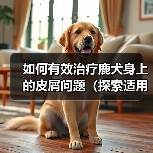 如何有效治疗鹿犬身上的皮屑问题（探索适用于鹿犬皮屑问题的药物及方法）（图4）