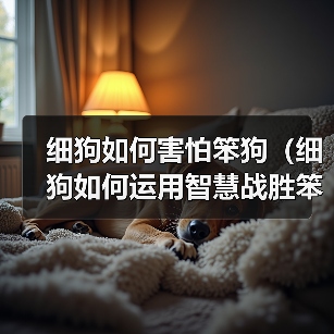 细狗如何害怕笨狗（细狗如何运用智慧战胜笨狗）