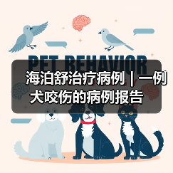 海泊舒治疗病例 | 一例犬咬伤的病例报告（图3）