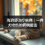 海泊舒治疗病例 | 一例犬咬伤的病例报告