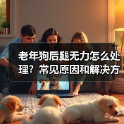 老年狗后腿无力怎么处理？常见原因和解决方案（图4）