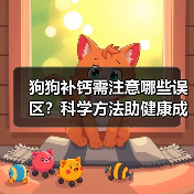 狗狗补钙需注意哪些误区？科学方法助健康成长（图3）