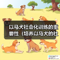 以马犬社会化训练的重要性（培养以马犬的社会适应能力，让它成为理想的家庭伴侣）（图2）