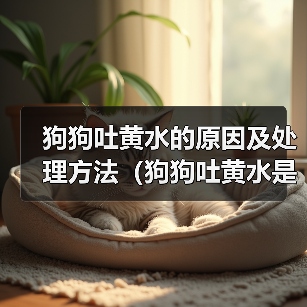 狗狗吐黄水的原因及处理方法（狗狗吐黄水是怎么回事？黄水吐出可能暗示什么问题？）