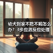 幼犬到家不吃不喝怎么办？3步应激反应处理全攻略（图3）