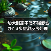 幼犬到家不吃不喝怎么办？3步应激反应处理全攻略（图2）