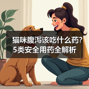 猫咪腹泻该吃什么药？5类安全用药全解析（图4）