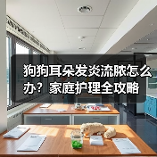 狗狗耳朵发炎流脓怎么办？家庭护理全攻略（图3）