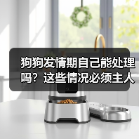 狗狗发情期自己能处理吗？这些情况必须主人出手！