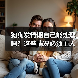 狗狗发情期自己能处理吗？这些情况必须主人出手！（图4）