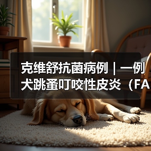 克维舒抗菌病例 | 一例犬跳蚤叮咬性皮炎（FAD）的病例分析（图4）