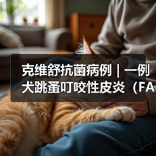 克维舒抗菌病例 | 一例犬跳蚤叮咬性皮炎（FAD）的病例分析（图2）