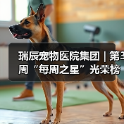 瑞辰宠物医院集团 | 第3周“每周之星”光荣榜（图2）