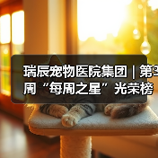 瑞辰宠物医院集团 | 第3周“每周之星”光荣榜（图3）