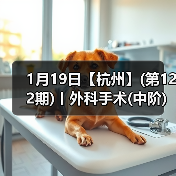 1月19日【杭州】(第122期)丨外科手术(中阶)实战班，2人/组提供一猫一狗，实操超多！