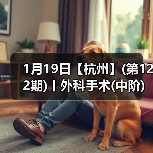 1月19日【杭州】(第122期)丨外科手术(中阶)实战班，2人/组提供一猫一狗，实操超多！（图3）