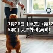 1月26日【重庆】(第125期)丨犬猫外科(高阶)班！含SUB(人人可实操)、乳糜胸等技术！（图4）