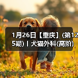 1月26日【重庆】(第125期)丨犬猫外科(高阶)班！含SUB(人人可实操)、乳糜胸等技术！