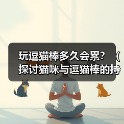 玩逗猫棒多久会累？（探讨猫咪与逗猫棒的持久战）（图4）