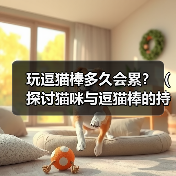 玩逗猫棒多久会累？（探讨猫咪与逗猫棒的持久战）（图3）