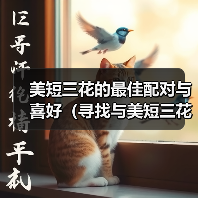 美短三花的最佳配对与喜好（寻找与美短三花最和谐的伴侣猫种）