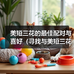 美短三花的最佳配对与喜好（寻找与美短三花最和谐的伴侣猫种）（图2）