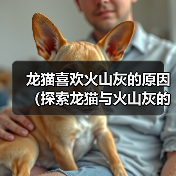 龙猫喜欢火山灰的原因（探索龙猫与火山灰的特殊关系）