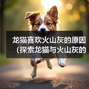 龙猫喜欢火山灰的原因（探索龙猫与火山灰的特殊关系）（图4）