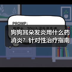 狗狗耳朵发炎用什么药消炎？针对性治疗指南（图2）