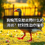 狗狗耳朵发炎用什么药消炎？针对性治疗指南