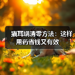 猫耳螨清零方法：这样用药省钱又有效（图3）