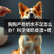 狗狗产后奶水不足怎么办？科学催奶食谱+喂养全攻略（图4）