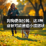 狗狗便血拉稀，这3种症状可能是细小或冠状病毒的前兆？
