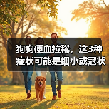 狗狗便血拉稀，这3种症状可能是细小或冠状病毒的前兆？（图2）