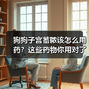 狗狗子宫蓄脓该怎么用药？这些药物你用对了吗？（图2）