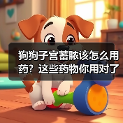 狗狗子宫蓄脓该怎么用药？这些药物你用对了吗？