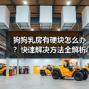 狗狗乳房有硬块怎么办？快速解决方法全解析（图3）