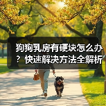 狗狗乳房有硬块怎么办？快速解决方法全解析（图2）