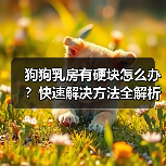 狗狗乳房有硬块怎么办？快速解决方法全解析（图4）