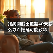 狗狗例假出血超40天怎么办？拖延可能致命！