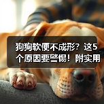 狗狗软便不成形？这5个原因要警惕！附实用解决办法（图3）